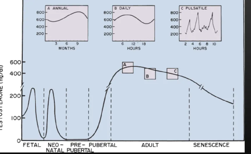 Figure 18-8 Concentration of testosterone in peripheral blood of the human male at different times of the life cycle