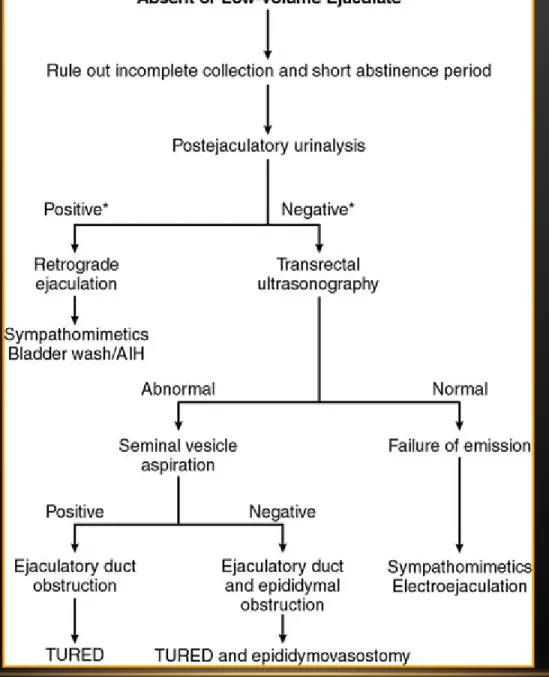 Figure 19-3 Algorithm for the evaluation of the patient with  low-volume or absent (aspermia) ejaculate