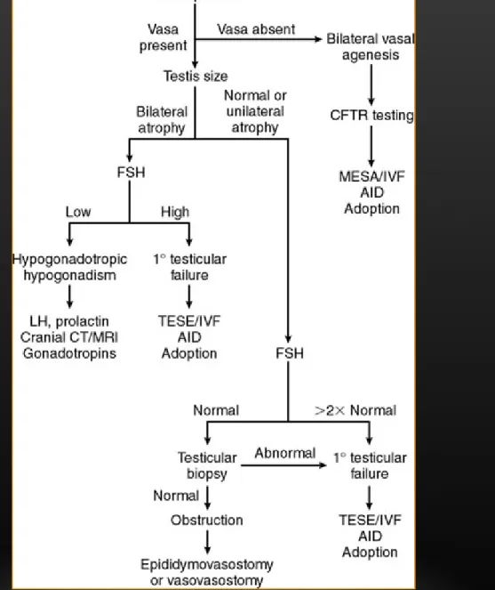 Figure 19-4  Algorithm for the evaluation of the patient with azoospermia. 