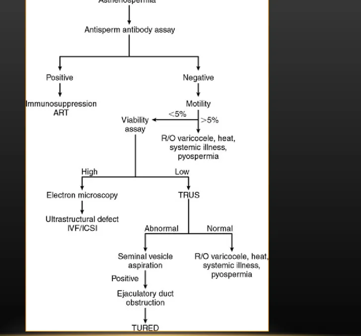 Figure 19-5  Algorithm for the evaluation of the patient with asthenospermia. 