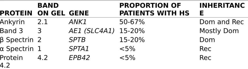 Table 458-1. Common Gene Mutations in Hereditary Spherocytosis (HS) PROTEIN BAND  ON GEL GENE PROPORTION OF  PATIENTS WITH HS INHERITANCE