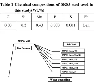Fig. 1 Initial  microstructure of  hot-rolled SK85 sheet  used in this study 