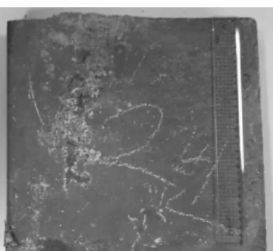 Table 1 Chemical compositions of ingots fabricated in  this study(wt.%)      No.  Cr  Ni  Si  N  Y  Mn  C  Fe  1  25  8  1.5  -  -  1.0  0.4  Bal