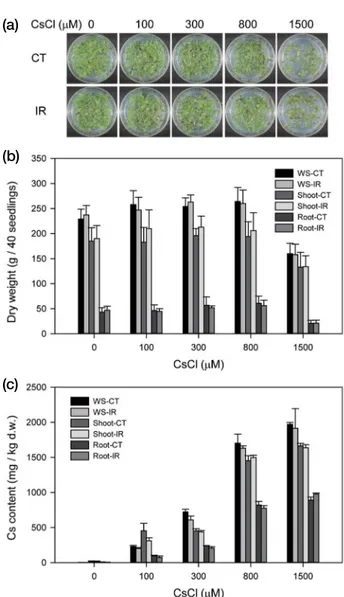 Fig. 1. Change in Cs uptake and toxicity in Arabidopsis seedlings 