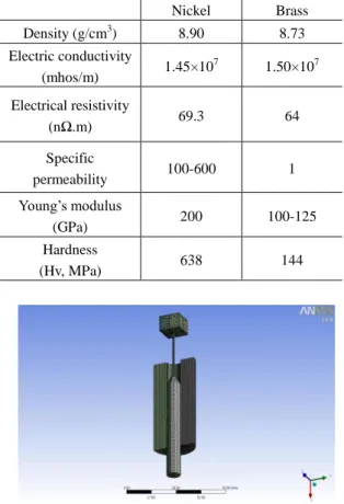 Fig. 4 Geometrical modeling and mesh 