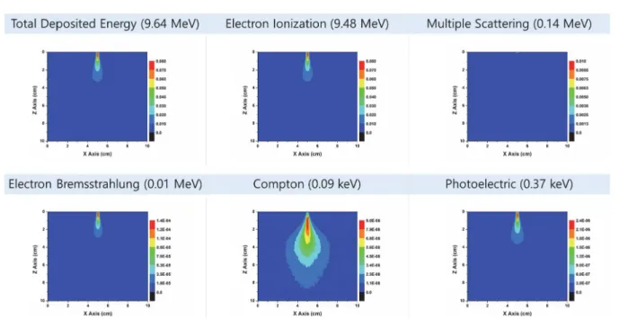 Fig. 4 shows the deposited energy distribution for the ver­ tical cross section (xz plane) of the sample