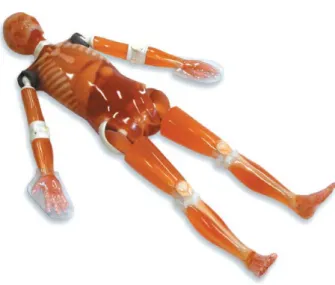 Fig. 3. Multifunctional QC X-ray detector: Piranha 657.