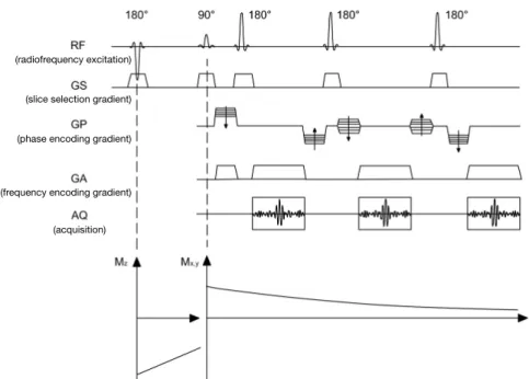 Fig. 1. Structure presented of the turbo inversion recovery magnitude pulse sequence.