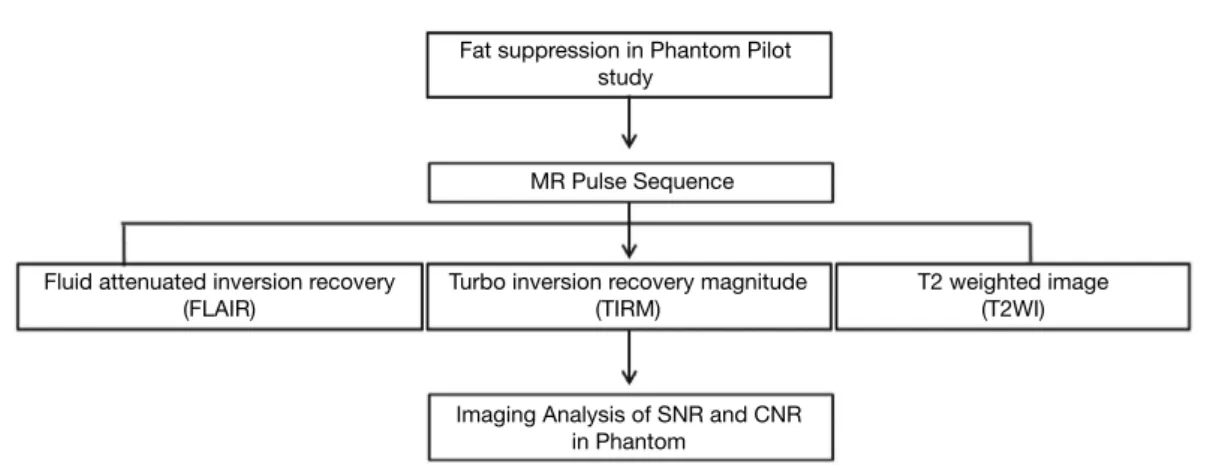 Fig. 4.  An oil and water blended phantom MR imaging of TIRM pulse sequence image (a), FLAIR pulse sequence image (b) and T2 weight-