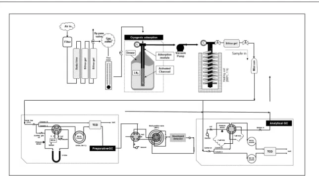 Fig. 1. Schematic of sampling and detection system.