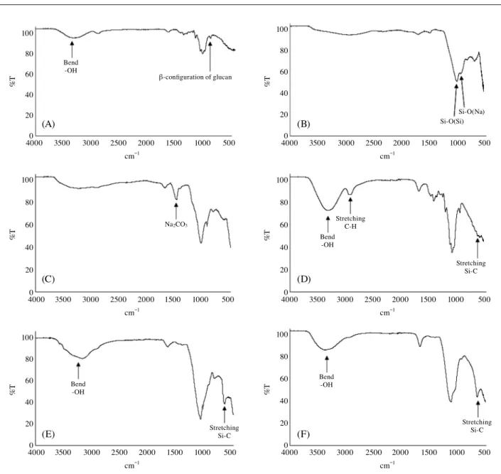 Fig. 2.   Fourier transform infrared spectroscopy spectra of micro formulations. (A) Curdlan; (B) Sodium silicate; (C) Curdlan-silicate solution;  (D) Curdlan-silicate solution treated with gamma irradiation; (E) CuSO 4  micro formulation; (F) MgSO 4  micr