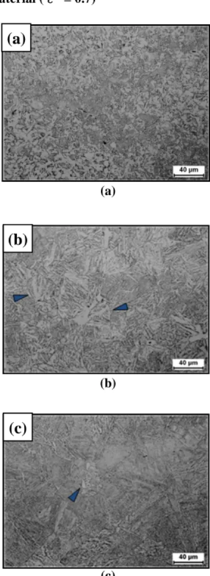 Fig.  5 Microstructures  of  tower  flange  material(ε= 