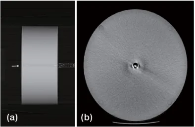 Fig. 5.   CT image acquisition with scout image with ionization chamber of arrow (a) and CTDI body phantom (b) image for measurement of  radiation dose.