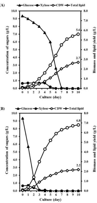 Fig. 3.   Consumption of carbon sources and yield of biomass and 