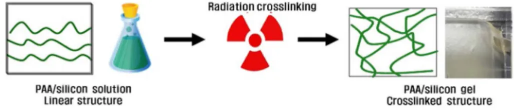 Fig. 1. Schematic diagrams of conductive PAA/silicone hydrogel crosslinked by radiation.
