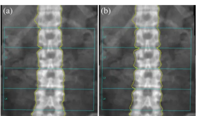 Fig. 1.   Image by analysis method (a) Image by manual analysis (b) 