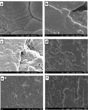Fig.  2(d)는  Zn-Ni 전기도금층  위에  Ni-P 무전해도 금한  표면의  주사전자현미경  사진이다.  Ni-P 무전해 도금한  표면에  작은  균열이  있음을  알  수  있었다