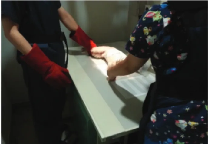 Fig. 1. Proactive exploration and simulation.