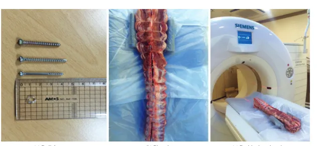 Fig. 1. Positioning pig spine and pedicle screw.