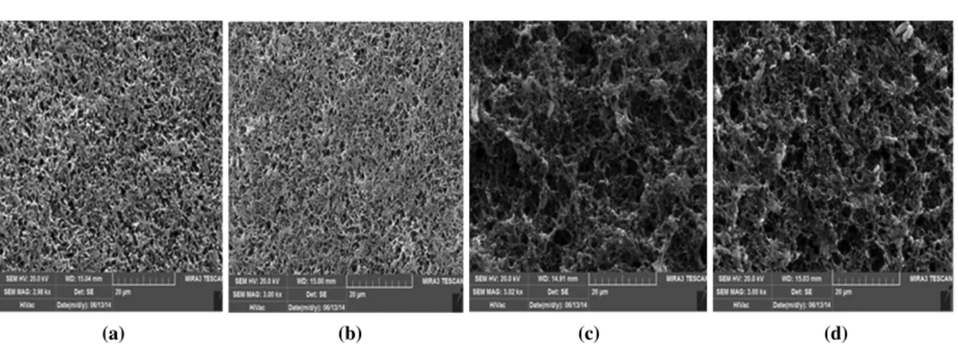 Fig. 4. SEM images for various GMA concentrations of grafted membrane surfaces: (a) 0%, (b) 0.05%, (c) 0.5% and (d) 0.75%.