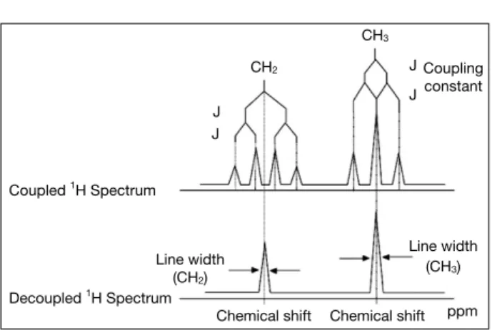 Fig. 2. Proton spin­spin coupling on CH 3 CH 2 .