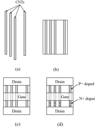 Fig. 1. CNTFET Structure 그림 1. CNTFET 구조