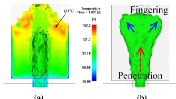 Fig. 7 (a) Temperature distribution during gas injection  and (b) gas core after gas injection 