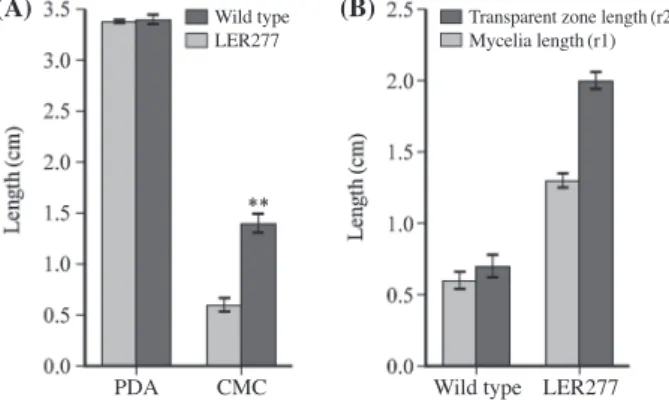 Table 1. Sequence analysis of cel7A in wild type and LER277