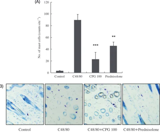 Fig. 9.   Effects of CPG mixture on scratching behavior and histological changes in the ICR mice induced by C48/80
