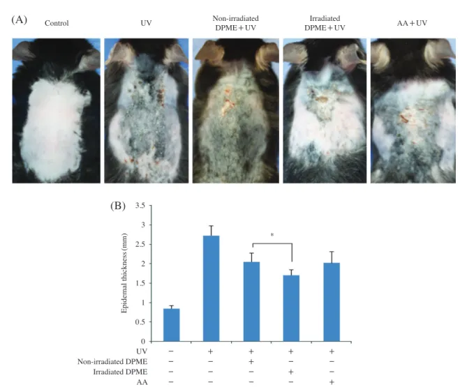Fig. 2.   Comparison of inhibitory effects on UVB-induced skin damage with γ-DPME and n-DPME