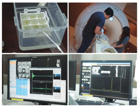 Fig. 1.   The phantom series image and MRS acquisition procedure in 3T human MRI. The upper two image (left, right) were 9 vial oil phan- phan-tom test tube and mounted the phamphan-tom series in MRI iso-center