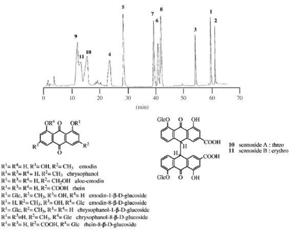 Fig. 2.   HPLC chromatograms and molecular structure of the standard compounds of some anthrones and anthraquinones in rhubarb