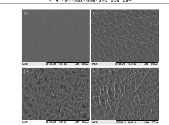 Fig. 2.   SEM images of MD content on the surface morphology of MD loaded PVA hydrogel irradiated at 25 kGy