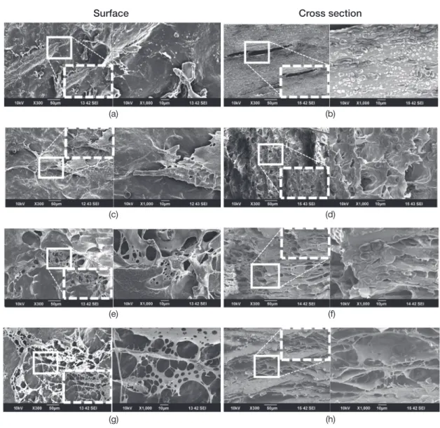 Fig. 2.   Gel fraction ratio of CMC hydrogels before (0 kGy) and af-