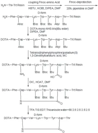 Fig. 1.   Synthesis of [DOTA]-F-(Dap)-V-K-(D-form W)-Y-D-T (cy- (cy-clic Dap &amp; D).