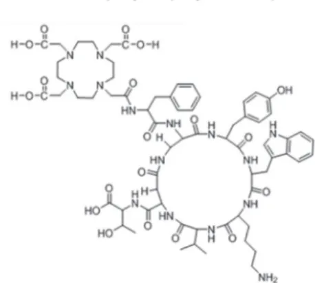 Fig. 2. Schematic figure for DOTA-somatostatin derivative.