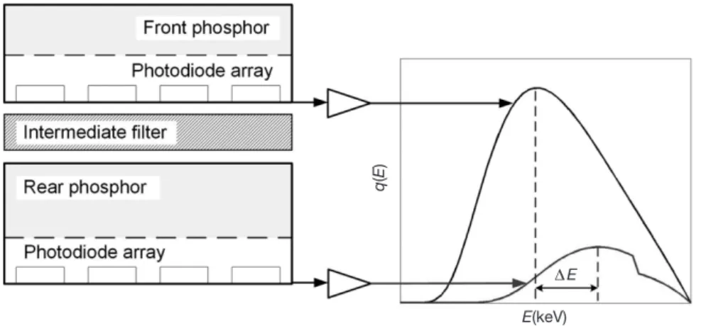 Fig. 1.   Sketch describing the operation principle of the sandwich detector. While the front detector generates low-energy-weighted image sig- sig-nal, the rear detector generates high-energy-weighted image signal