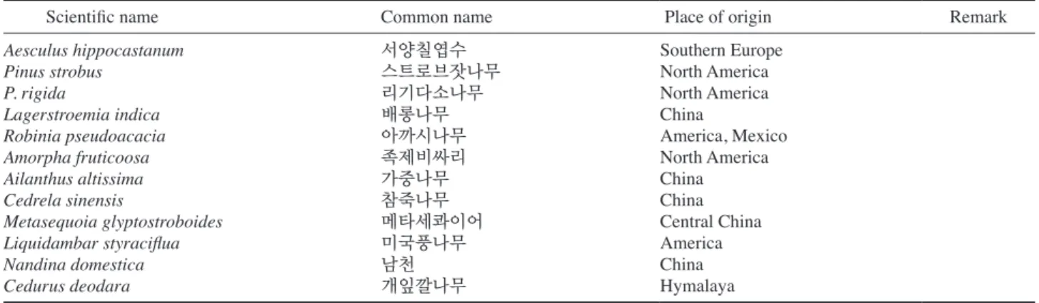 Fig. 2. Liquidambar styraciflua trees transplanted in the study area.