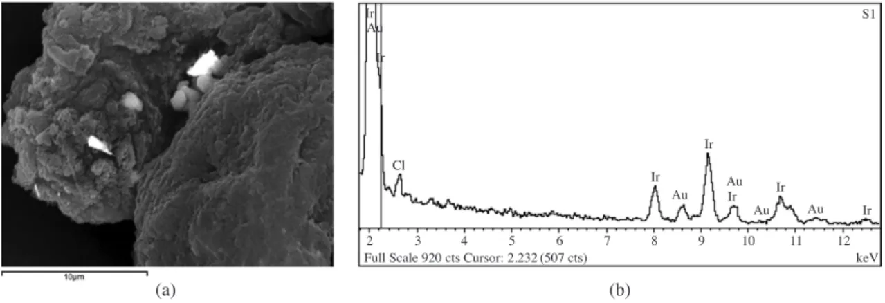 Fig. 13. Large amount fo tiny fracture particles left in the cracks.