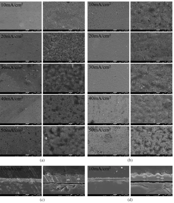 Fig. 2. SEM images for the Ni coated PN junction semiconductor at a Ni seed layer of (a) 500 Å and (b) 1000 Å