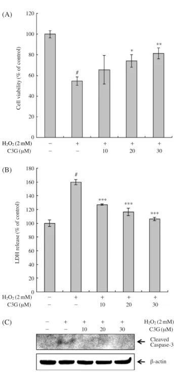 Fig. 1. Effect of C3G pretreatment on the generation of intracellu-
