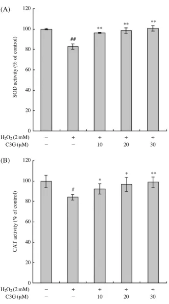 Fig. 4. Effect of C3G pretreatment on the SOD (A) and CAT (B)