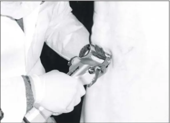 Fig.  1.  Pig  skin  was  obtained  using  dermatome.