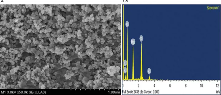 Fig. 1. An analysis of elements in the nanosized curdlan-silica formulation contained MgSO 4 