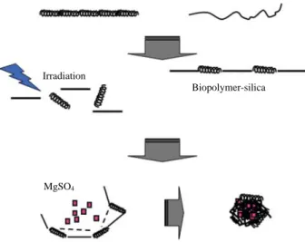 Fig. 3. Measurement of sustained-releasing MgSO 4 from the nanosized curdlan-silica formulation contained MgSO 4 under 65 � C condition