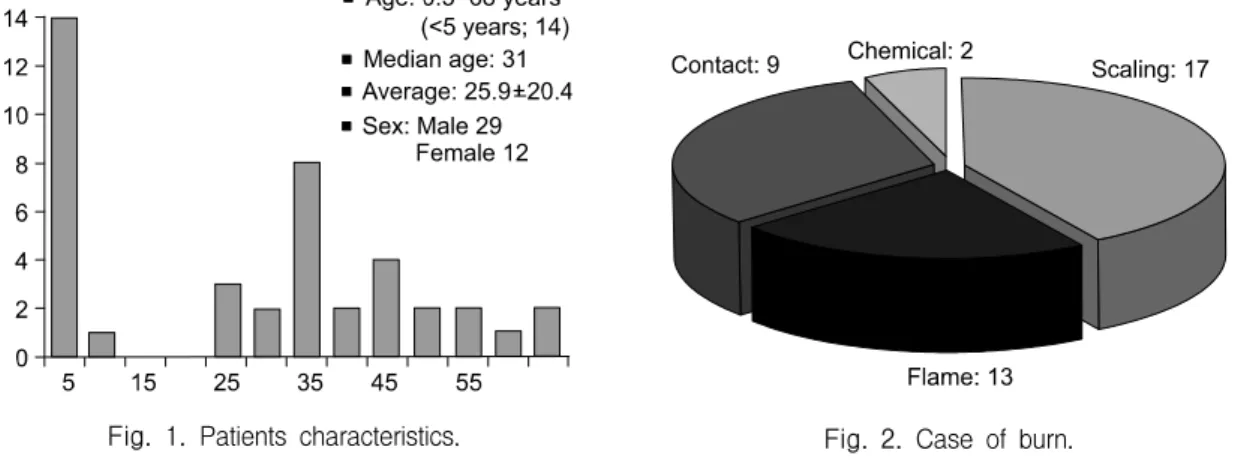 Fig.  1.  Patients  characteristics. Fig.  2.  Case  of  burn.