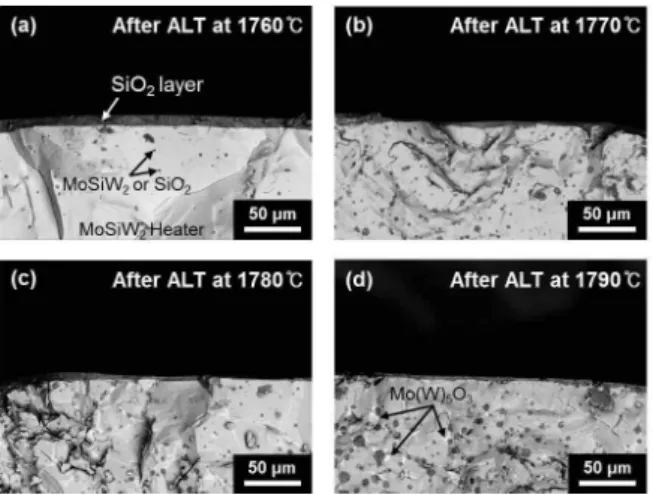 Fig. 4. SEM (BSE) images of cross section of Mo x W 1-x Si 2