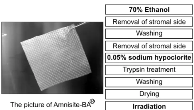 Fig. 2. This  heavy  characters  indicate  the  inactivation  step  of  manufacturing  process.