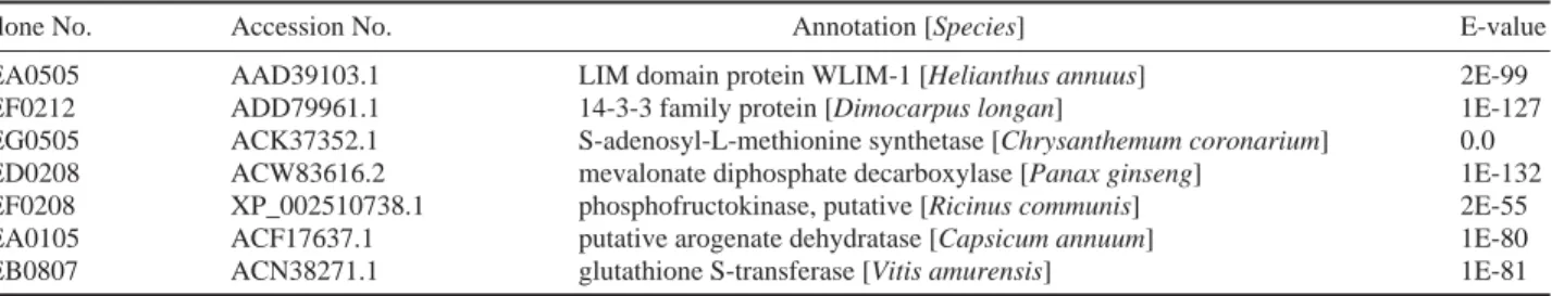 Table 1. Summary of differential expression in qPCR of the five chrysanthemum varieties
