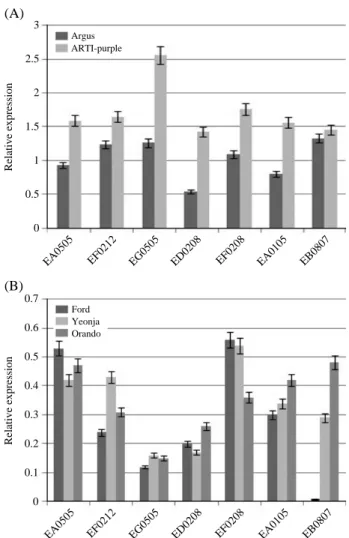 Fig. 2. Relative expressions of the anthocyanin biosynthetic genes in five chrysanthemums